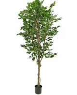 Konstgjord växt Ficus Green 240 cm