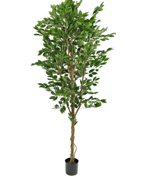 Konstgjord växt Ficus Green 240 cm