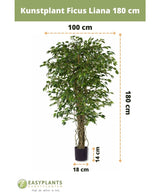 Konstgjord växt Ficus Liana 180 cm