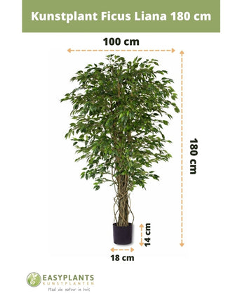 Konstgjord växt Ficus Liana 180 cm