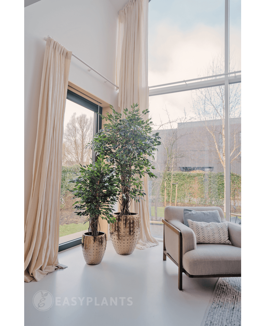 Konstgjord växt Ficus Liana 180 cm