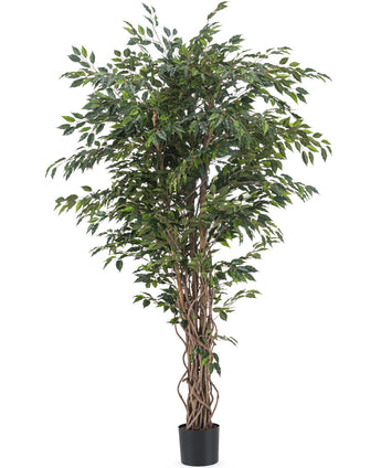 Konstgjord växt Ficus Liana 180 cm