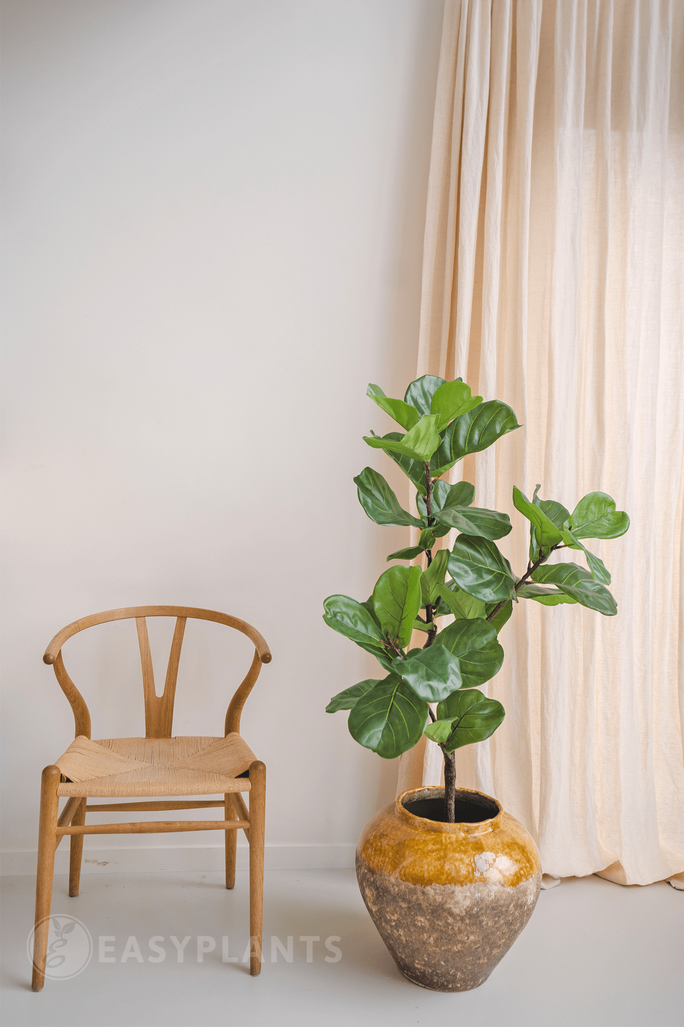 Konstgjord växt Ficus Tobacco Plant Deluxe 125 cm