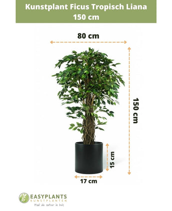 Konstgjord växt Ficus Tropical Liana 150 cm