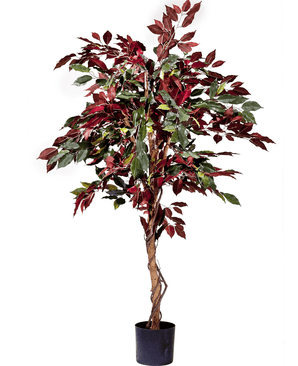 Konstgjord växt Ficus grön/röd 150 cm