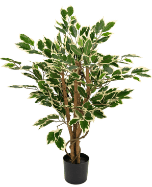 Konstgjord växt Ficus grön/vit 90 cm