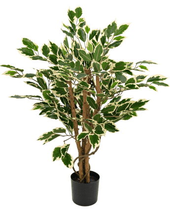 Konstgjord växt Ficus grön/vit 90 cm
