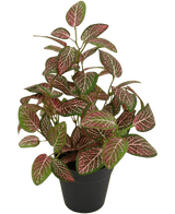 Konstgjord växt Fittonia Red i kruka 35cm