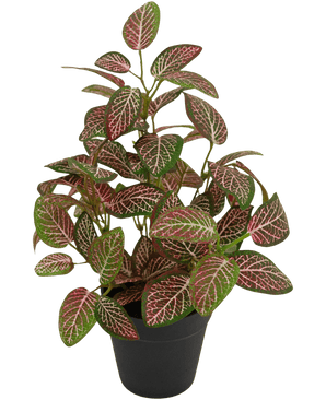 Konstgjord växt Fittonia Red i kruka 35cm