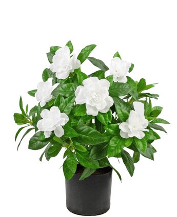 Konstgjord växt Gardenia 39 cm vit