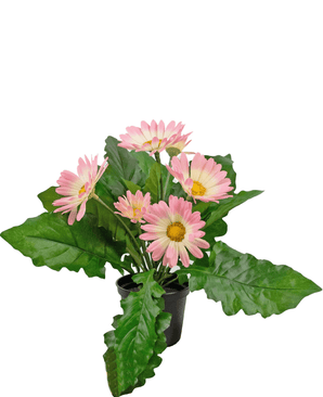 Konstgjord växt Gerbera 28 cm rosa