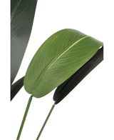 Konstgjord växt Heliconia 110 cm