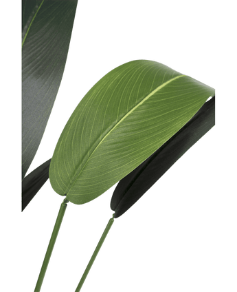 Konstgjord växt Heliconia 110 cm