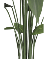 Konstgjord växt Heliconia 170 cm