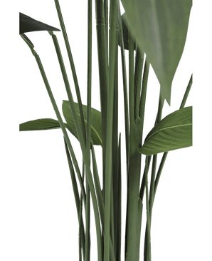 Konstgjord växt Heliconia 170 cm