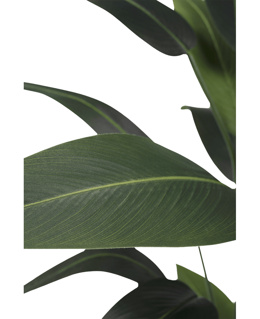 Konstgjord växt Heliconia 170 cm