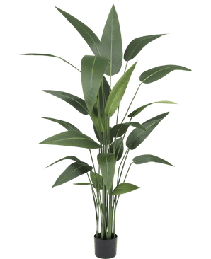 Konstgjord växt Heliconia 170 cm