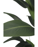 Konstgjord växt Heliconia 180 cm