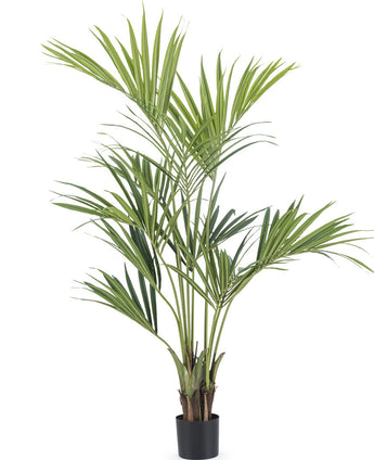 Konstgjord växt Kentia Palm 150 cm brandhämmande