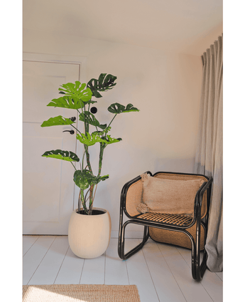 Konstgjord växt Monstera 150 cm