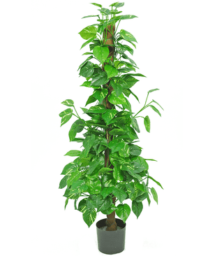 Konstgjord växt Pothos 150 cm