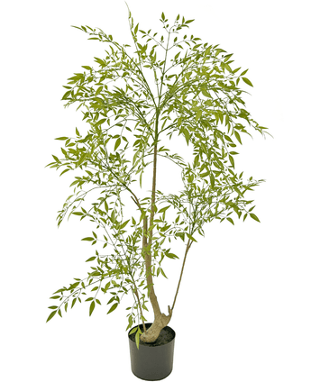 Konstgjord växt Ruscus 120 cm