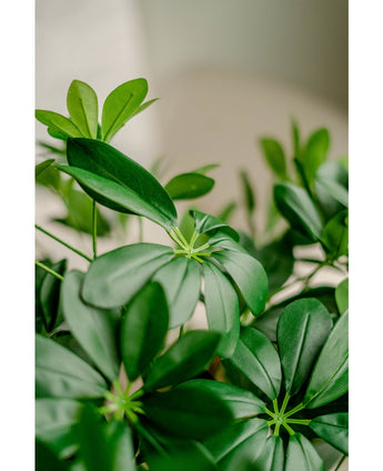 Konstgjord växt Schefflera 120 cm.