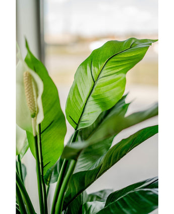 Konstgjord växt Spathiphyllum vit 85 cm