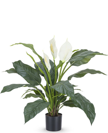 Konstgjord växt Spathiphyllum vit 85 cm