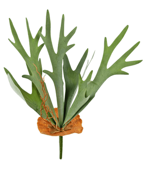 Konstgjord växt Staghorn 53 cm