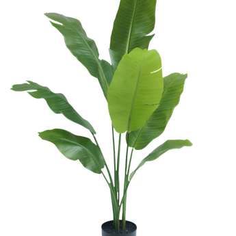 Konstgjord växt Strelitzia Nicolai Deluxe 120 cm