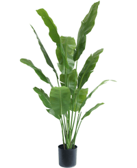 Konstgjord växt Strelitzia Nicolai Deluxe 170 cm