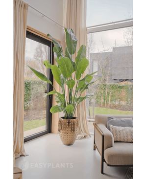 Konstgjord växt Strelitzia Nicolai Deluxe 215 cm