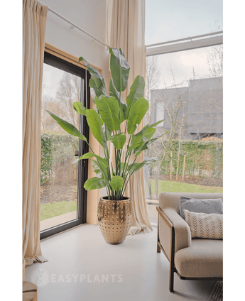 Konstgjord växt Strelitzia Nicolai Deluxe 235 cm