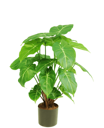 Konstgjord växt Syngonium 58 cm