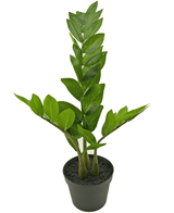 Konstgjord växt Zamioculcas 50 cm