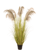 Konstgjort Pampasgräs 170 cm brandhämmande