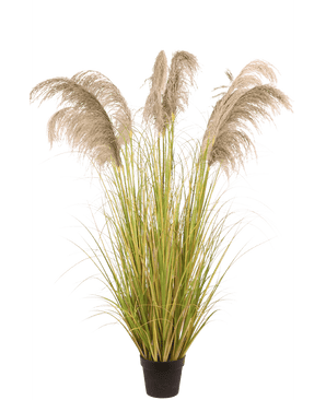 Konstgjort Pampasgräs 170 cm brandhämmande