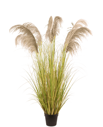 Konstgjort Pampasgräs 170 cm brandhämmande