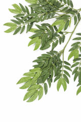 Konstgjort blad Ming Aralia 50 cm grönt flamskyddat