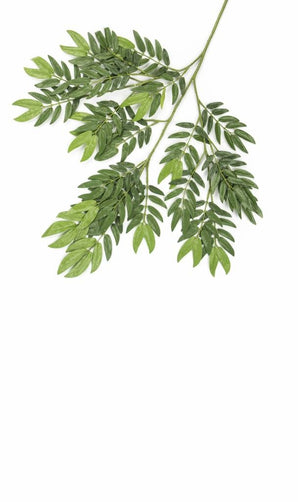 Konstgjort blad Ming Aralia 50 cm grönt flamskyddat