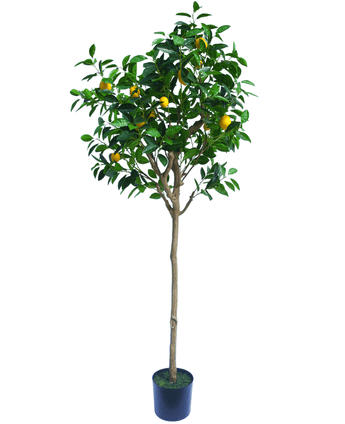 Konstgjort citronträd 180 cm