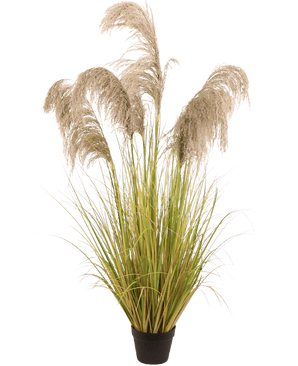 Konstgjort pampasgräs 150 cm brandhämmande