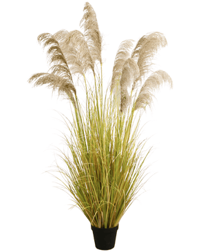 Konstgjort pampasgräs 200 cm brandhämmande