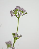 Konstgräs Purjolök Blomma Lök Gräs kruka 100cm brandhämmande