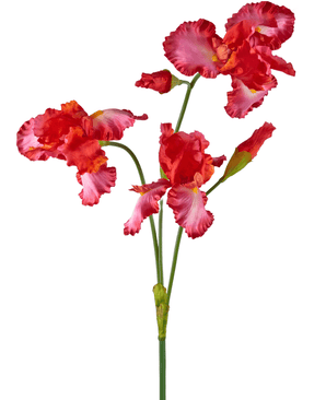 Kunnst blomma Iris 102 cm röd