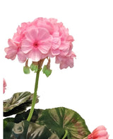 En närbild av den konstgjorda pelargonen 40 cm rosa, med naturtrogna rosa blomklasar och gröna blad mot en vit bakgrund, vilket understryker den realistiska skönheten hos denna konstgjorda växt.