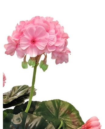 En närbild av den konstgjorda pelargonen 40 cm rosa, med naturtrogna rosa blomklasar och gröna blad mot en vit bakgrund, vilket understryker den realistiska skönheten hos denna konstgjorda växt.
