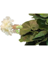 Artificiell Pelargon 40 cm vit har ljusa vita blommor, gröna blomknoppar och stora runda blad - en fräsch, naturlig skönhet som en konstgjord växtaccent, särskilt slående mot en vit bakgrund.