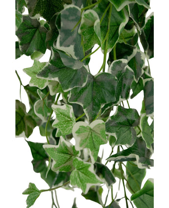 Närbild av konstgjord murgröna 70 cm grön/vit med gröna blad och vitkantade kanter, med betoning på tätt konstgjort bladverk och naturliga bladmönster på ljus bakgrund.